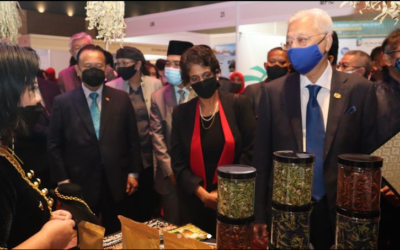 UNDP supports Malaysia’s technology adoption, innovation in 12MP