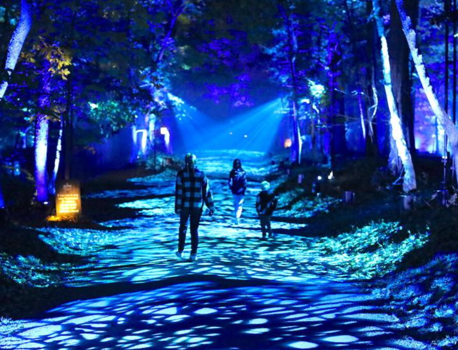 The Trailblazers in Immersive Experience Market - Best Events Productions