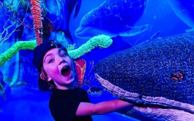 Shopping malls are fulfilling people’s social needs through unique experiences, creative workspaces, and interactive group entertainment