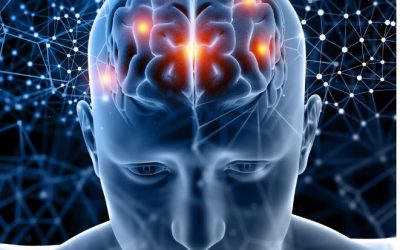 Meet the “Characters” Running Your Brain