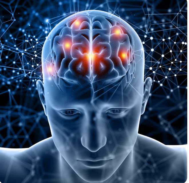 Meet the “Characters” Running Your Brain